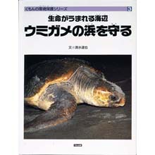 生命が生まれる海辺 ウミガメの浜を守る 生命が生まれる海辺 ウミガメの浜を守る