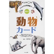 自然図鑑カード 動物カード 自然図鑑カード 動物カード