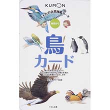 自然図鑑カード 鳥カード 自然図鑑カード 鳥カード