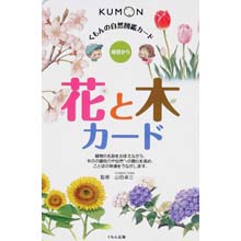 自然図鑑カード 花と木カード 自然図鑑カード 花と木カード
