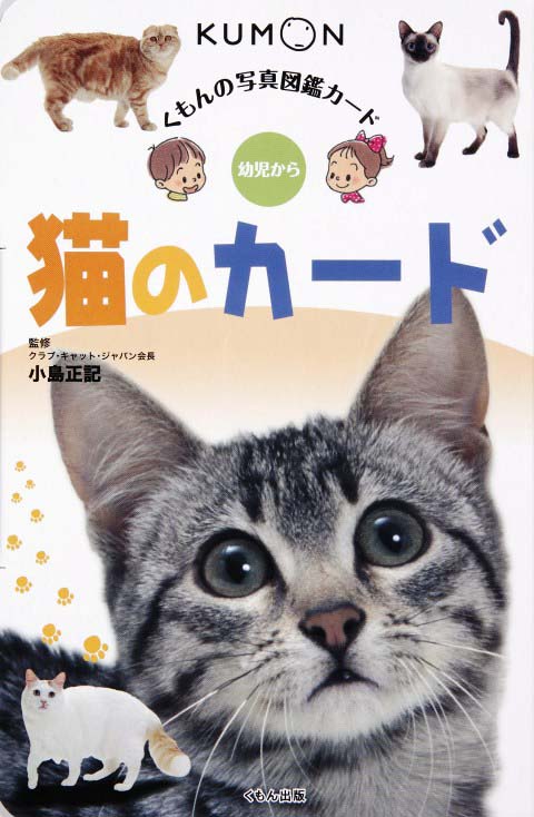 写真図鑑カード 猫のカード くもん出版