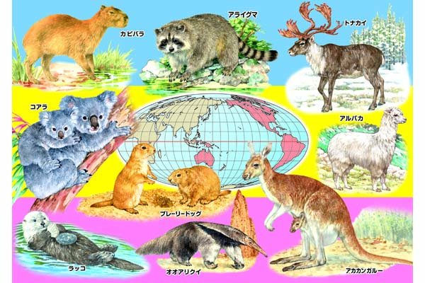 くもんのジグソーパズル ｓｔｅｐ５発見 世界の動物 くもん出版