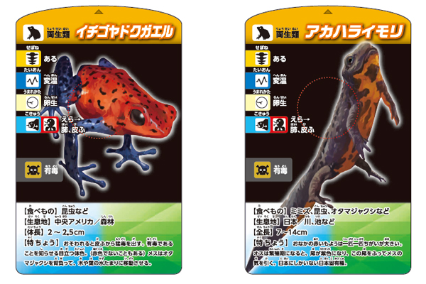考える 生きもの分類カードゲーム くもん出版