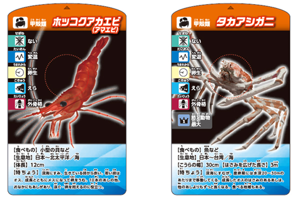 考える 生きもの分類カードゲーム くもん出版