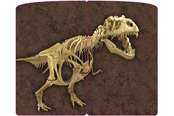 恐竜化石発掘カードゲーム くもん出版